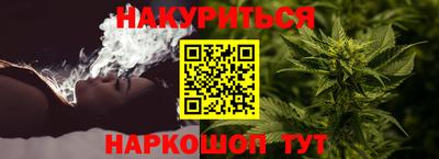 мдпв Можга