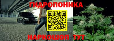 a pvp Моздок