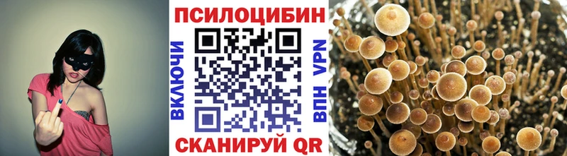 где продают наркотики  Старая Купавна  Галлюциногенные грибы GOLDEN TEACHER 